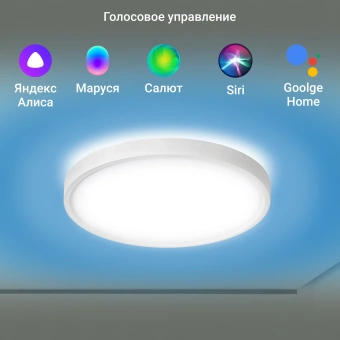 Умный светильник Digma TopLight TL40 потолоч. белый (TL40) - купить недорого с доставкой в интернет-магазине