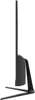 Моноблок Digma Optimum 23.8" Full HD P N6000 (1.1) 8Gb SSD256Gb UHDG CR Linux Ubuntu Eth WiFi BT 36W клавиатура мышь Cam черный 1920x1080 - купить недорого с доставкой в интернет-магазине