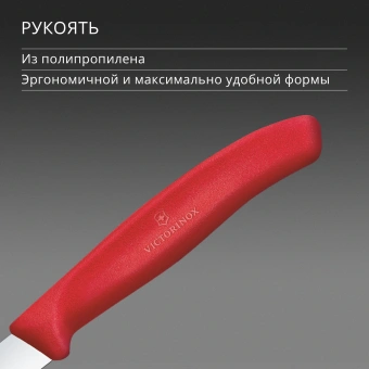 Нож кухонный Victorinox Swiss Classic (6.7401.C1) стальной для чистки овощей и фруктов лезв.80мм прямая заточка красный - купить недорого с доставкой в интернет-магазине