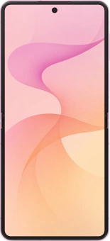 Смартфон Samsung SM-F776B Galaxy Z Flip 8 256Gb 12Gb розовый раскладной 3G 4G 1Sim 6.9" 1080x2520 Android 17 50Mpix 802.11 a/b/g/n/ac/ax/be NFC GPS Protect - купить недорого с доставкой в интернет-магазине