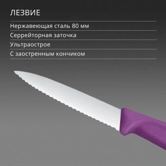 Нож кухонный Victorinox Swiss Classic (6.7635.C1) стальной универсальный для чистки овощей и фруктов лезв.80мм серрейт. заточка пурпурный - купить недорого с доставкой в интернет-магазине