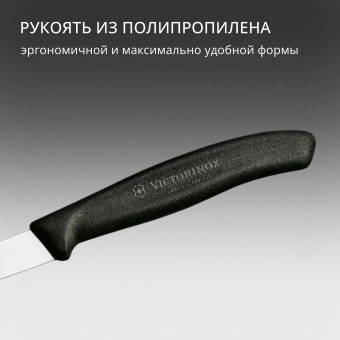 Нож кухонный Victorinox Swiss Classic (6.7403) стальной для овощей лезв.80мм прямая заточка черный - купить недорого с доставкой в интернет-магазине