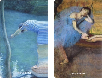 Блокнот Moleskine LIMITED EDITION CAHIER MUSEE D`ORSAY SKCAHL6911S3NL Large 130х210мм обложка картон 120стр. нелинованный мягкая обложка синий/коричневый (2шт) - купить недорого с доставкой в интернет-магазине