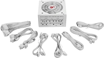 Блок питания Bloody ATX 750W BD-PS750G 80+ gold (20+4pin) APFC 120mm fan 6xSATA Cab Manag RTL - купить недорого с доставкой в интернет-магазине