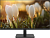 Монитор Dahua 23.8" DHI-LM24-A201H черный IPS LED 5ms 16:9 HDMI M/M матовая 1000:1 250cd 178гр/178гр 1920x1080 100Hz VGA DP FHD 3.1кг