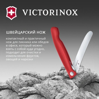 Нож кухонный Victorinox Swiss Classic 6.7801.FC1 стальной столовый лезв.110мм прямая заточка красный карт.коробка - купить недорого с доставкой в интернет-магазине