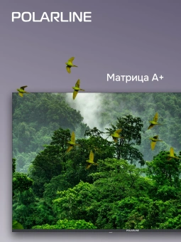Телевизор QLED PolarLine 50" 50PQ71STC-SM черный/серебристый 4K Ultra HD 60Hz DVB-T DVB-T2 DVB-C DVB-S2 USB WiFi Smart TV (RUS) - купить недорого с доставкой в интернет-магазине