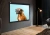 Экран Cactus 120" 183x244см Wallscreen CS-PSW-183X244-BK 4:3 настенно-потолочный рулонный черный - купить недорого с доставкой в интернет-магазине