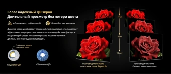 Телевизор LED Skyworth 75" 75X66H Nexo Mini-LED черный/серый 4K Ultra HD 120Hz DVB-T DVB-T2 DVB-C DVB-S DVB-S2 USB WiFi Smart TV - купить недорого с доставкой в интернет-магазине