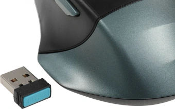 Мышь A4Tech Fstyler FB35C зеленый/черный оптическая 2000dpi беспров. BT/Radio USB 6but (FB35C MIDNIGHT GREEN) - купить недорого с доставкой в интернет-магазине
