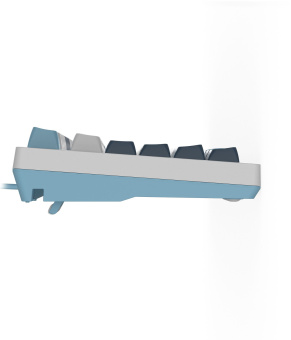 Клавиатура A4Tech Fstyler FS300 механическая белый/синий USB for gamer LED (FS300 PANDA SNOWBOARDING) - цена, купить или заказать с доставкой в интернет-магазине Клавиатура A4Tech Fstyler FS300 механическая белый/синий USB for gamer LED (FS300 PANDA SNOWBOARDING) - купить недорого с доставкой в интернет-магазине