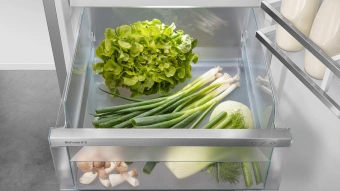 Холодильник Liebherr CBNsdc 522i-22 2-хкамерн. серебристый - цена, купить или заказать с доставкой в интернет-магазине Холодильник Liebherr CBNsdc 522i-22 2-хкамерн. серебристый - купить недорого с доставкой в интернет-магазине