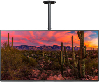 Кронштейн для телевизора Cactus CS-CP04-R черный 37"-70" макс.81.6кг потолочный поворот и наклон - купить недорого с доставкой в интернет-магазине