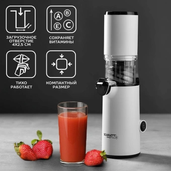 Соковыжималка шнековая Scarlett DailyPress SC-JE50S59 130Вт рез.сок.:600мл. белый - купить недорого с доставкой в интернет-магазине