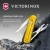 Нож перочинный Victorinox Classic SD Tuscan Sun (0.6223.T81G) 58мм 7функц. подар.коробка - купить недорого с доставкой в интернет-магазине