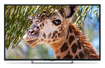 Телевизор LED PolarLine 55" 55PU11TC-SM черный 4K Ultra HD 50Hz DVB-T DVB-T2 DVB-C WiFi Smart TV (RUS) - купить недорого с доставкой в интернет-магазине
