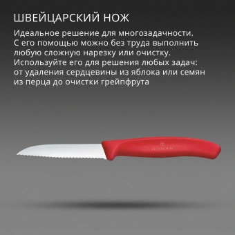 Нож кухонный Victorinox Swiss Classic (6.7431.C1) стальной универсальный для овощей лезв.80мм серрейт. заточка красный - купить недорого с доставкой в интернет-магазине