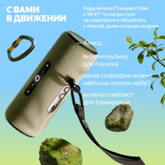Умная колонка Yandex Стрит Алиса зеленый 30W 2.0 BT/Wi-Fi 10м 3300mAh (YNDX-00030GRN) - купить недорого с доставкой в интернет-магазине