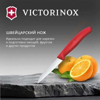 Нож кухонный Victorinox Swiss Classic (6.7401.C1) стальной для чистки овощей и фруктов лезв.80мм прямая заточка красный - купить недорого с доставкой в интернет-магазине