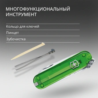 Нож перочинный Victorinox Classic SD Green Tea (0.6223.T41G) 58мм 7функц. подар.коробка - купить недорого с доставкой в интернет-магазине