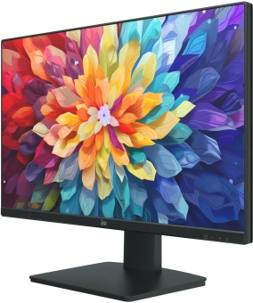 Моноблок IRU Planio 323 23.8" Full HD Ryzen 3 3200U (2.6) 8Gb SSD256Gb Vega 3 Windows 11 Pro WiFi BT Spk 120W Cam черный 1920x1080 (RUS) - купить недорого с доставкой в интернет-магазине