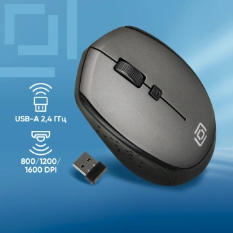 Мышь Оклик 488MW черный/серый оптическая 1600dpi беспров. USB для ноутбука 4but (1196571) - купить недорого с доставкой в интернет-магазине