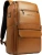 Рюкзак мужской Piquadro Solm CA7021S141/BE песочный натур.кожа - купить недорого с доставкой в интернет-магазине
