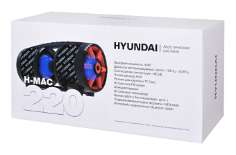 Минисистема Hyundai H-MAC220 черный 45Вт FM USB BT SD/MMC - купить недорого с доставкой в интернет-магазине