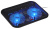 Подставка для ноутбука Buro BU-LCP140-B214H 14" 338x255x22мм 1xUSB 2x 140ммFAN 480г металлическая сетка/пластик черный - купить недорого с доставкой в интернет-магазине