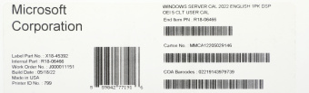 ПО Microsoft Windows Server CAL 2022 English 1pk DSP OEI 5 Clt User CAL (R18-06466) - купить недорого с доставкой в интернет-магазине