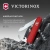 Нож перочинный Victorinox Waiter (0.3303) 84мм 9функц. красный карт.коробка - купить недорого с доставкой в интернет-магазине