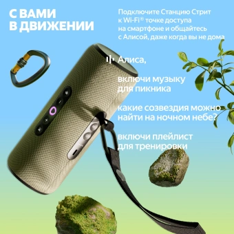 Умная колонка Yandex Стрит Алиса оранжевый 30W 2.0 BT/Wi-Fi 10м 3300mAh (YNDX-00030ORG) - купить недорого с доставкой в интернет-магазине