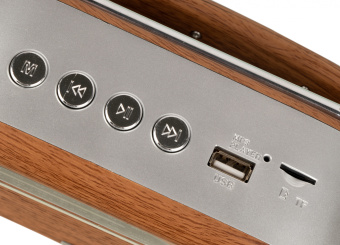 Радиоприемник портативный Hyundai H-PSR200 дерево коричневое/серебристый USB microSD - купить недорого с доставкой в интернет-магазине