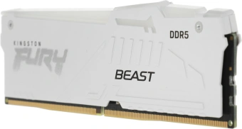 Память DDR5 16GB 5600MHz Kingston KF556C36BWEA-16 Fury Beast Expo RGB RTL Gaming PC5-44800 CL36 DIMM UDIMM 288-pin 1.25В kit single rank с радиатором Ret - купить недорого с доставкой в интернет-магазине