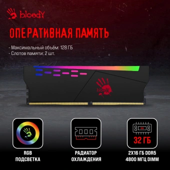 ПК Bloody BD-PC CB76C2 MT i5 13400F (2.5) 32Gb SSD1Tb RTX4060 8Gb Windows 11 Home 64 GbitEth 650W черный (2085996) - купить недорого с доставкой в интернет-магазине