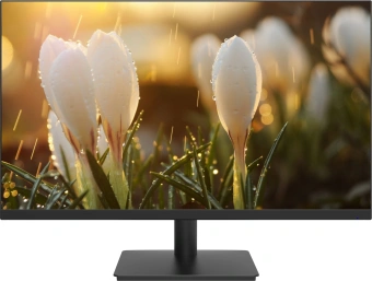 Монитор Dahua 23.8" DHI-LM24-A201H черный IPS LED 5ms 16:9 HDMI M/M матовая 1000:1 250cd 178гр/178гр 1920x1080 100Hz VGA DP FHD 3.1кг - купить недорого с доставкой в интернет-магазине