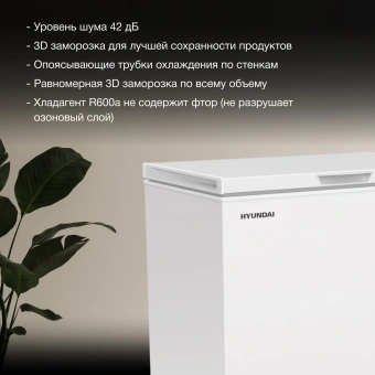 Морозильный ларь Hyundai CH25081 белый 130Вт - купить недорого с доставкой в интернет-магазине
