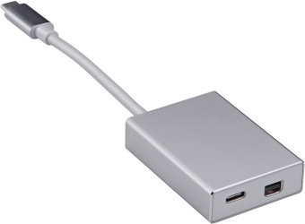 Адаптер Buro BHP miniDisplayPort (f)-USB Type-C (m) 0.1м серебристый - купить недорого с доставкой в интернет-магазине