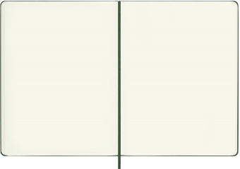Блокнот Moleskine CLASSIC QP092K15 XLarge 190х250мм 192стр. нелинованный твердая обложка зеленый - купить недорого с доставкой в интернет-магазине
