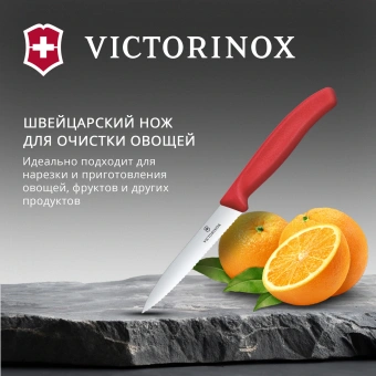 Нож кухонный Victorinox Swiss Classic 6.7731.C1 стальной универсальный для овощей лезв.100мм серрейт. заточка красный - купить недорого с доставкой в интернет-магазине