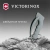 Точилка Victorinox 7.8715 для кухонных ножей серый - купить недорого с доставкой в интернет-магазине