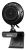 Камера Web A4Tech PK-710P черный 1Mpix (1280x720) USB2.0 с микрофоном - купить недорого с доставкой в интернет-магазине