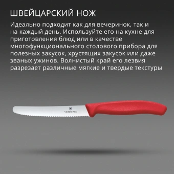 Нож кухонный Victorinox Swiss Classic (6.7831.C1) стальной столовый для овощей лезв.110мм серрейт. заточка красный - купить недорого с доставкой в интернет-магазине