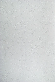 Обложки для переплёта Silwerhof Daily A4 230г/м2 белый (100шт) - купить недорого с доставкой в интернет-магазине