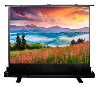 Экран Cactus 68x120см FloorExpert CS-PSFLE-120X68 16:9 напольный рулонный - купить недорого с доставкой в интернет-магазине