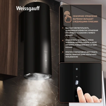 Вытяжка каминная Weissgauff Tubus 90 Black Edition черный управление: кнопочное (1 мотор) - купить недорого с доставкой в интернет-магазине