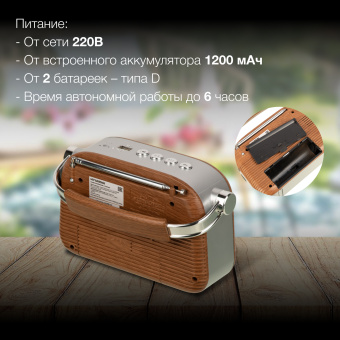 Радиоприемник портативный Hyundai H-PSR200 дерево коричневое/серебристый USB microSD - купить недорого с доставкой в интернет-магазине