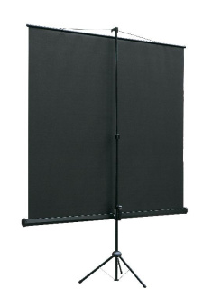 Экран на треноге Lumien 100" 180x180см Eco View LEV-100102 1:1 напольный рулонный - купить недорого с доставкой в интернет-магазине