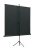 Экран на треноге Lumien 100" 180x180см Eco View LEV-100102 1:1 напольный рулонный - купить недорого с доставкой в интернет-магазине