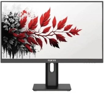 Монитор RDW Computers 27" RDW2702K черный IPS 1ms HDMI M/M Cam матовая HAS Piv 1000:1 350cd 178гр/178гр 2560x1440 100Hz DP QHD USB 1.7кг (RUS) - купить недорого с доставкой в интернет-магазине